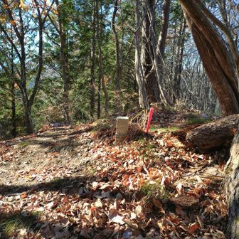 小峯山山頂に到着、樹林で景色は良くない。
山頂標は行方不明。