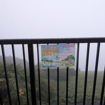 展望台からの景色