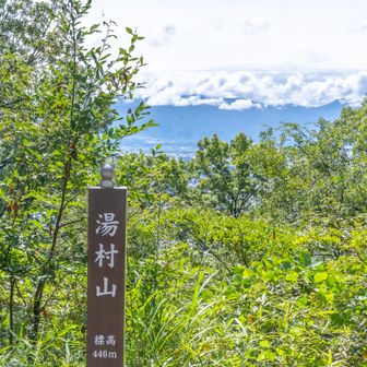 湯村山到着
今日は富士山雲隠れ