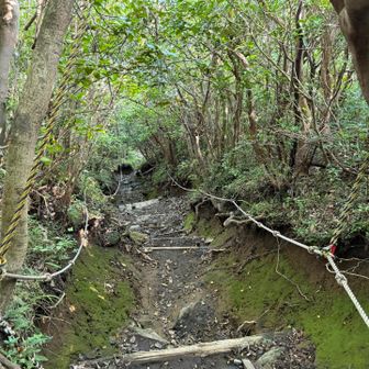 遅くなった。でも慎重に下山しよう。