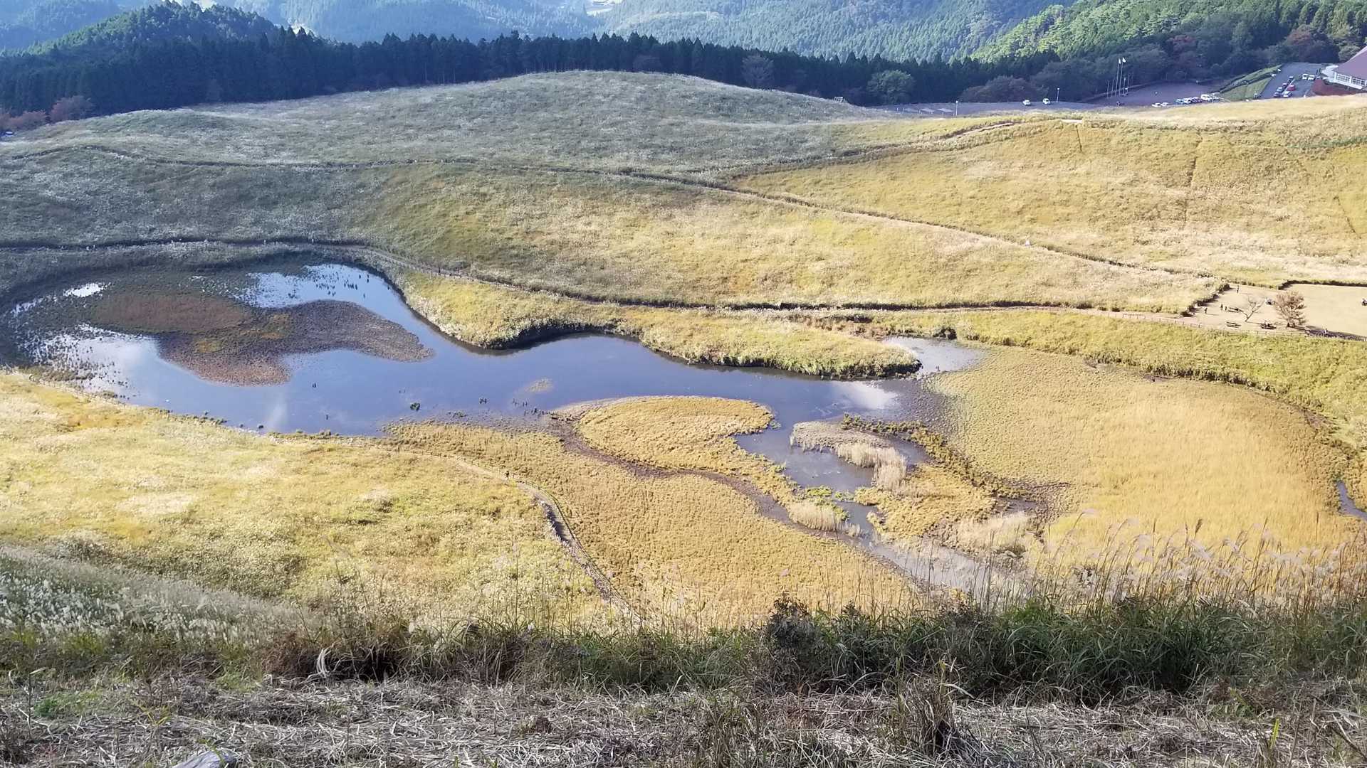 亀池
