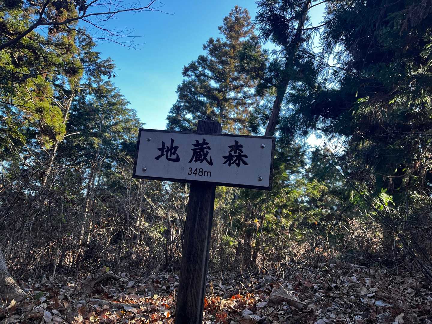 地蔵森！