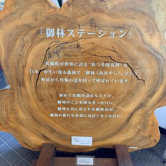 魚付き保安林、なるほど。小学生の時に習ったような気もしていたけど、最近は山と海を切り離して考えていたのでいい機会になりました。☺️