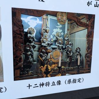 しかも、県指定の像も別でワンセットあり、こちらは本堂の真ん中に祀られておりお参り可。十二神将像にお参りというのも珍しいですが…仏像好きにはたまらんスポットですね。伊勢原は大山だけに非ず!!