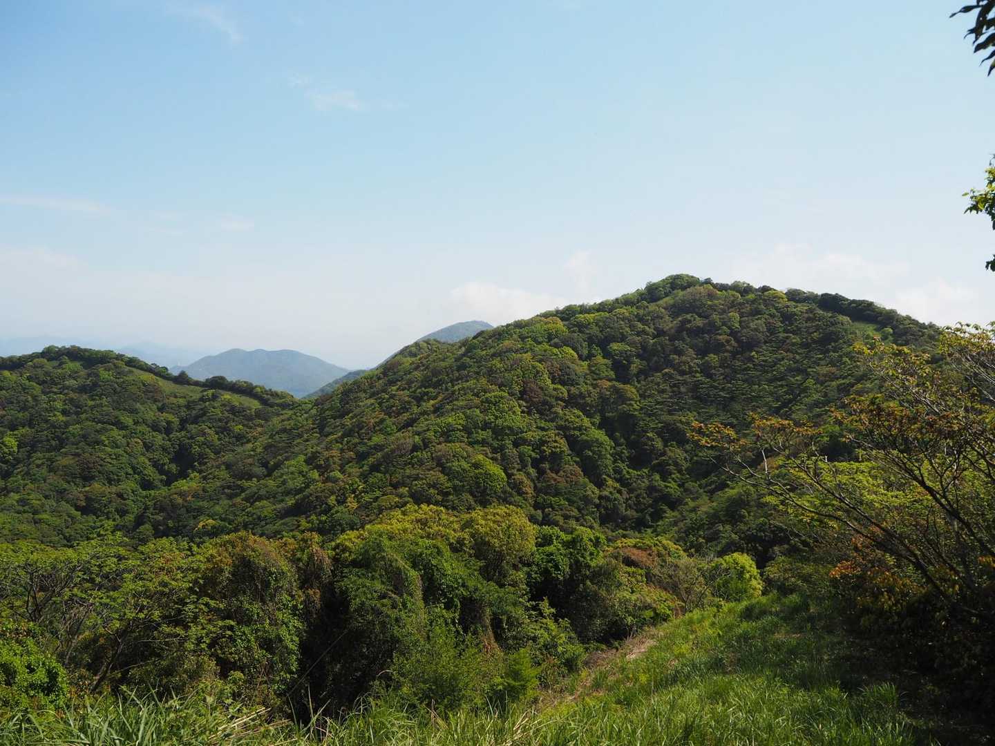 あの奥の山か？！🙃