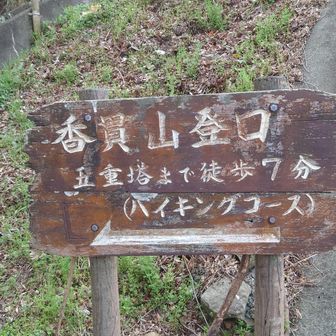 アップダウンが凄くて、過去一大変な山行でした😭
少しは経験値🆙したかな🤔
ロープ🪢掴みすぎたのか手が筋肉痛です😅

最後までご覧頂きありがとうございました😊