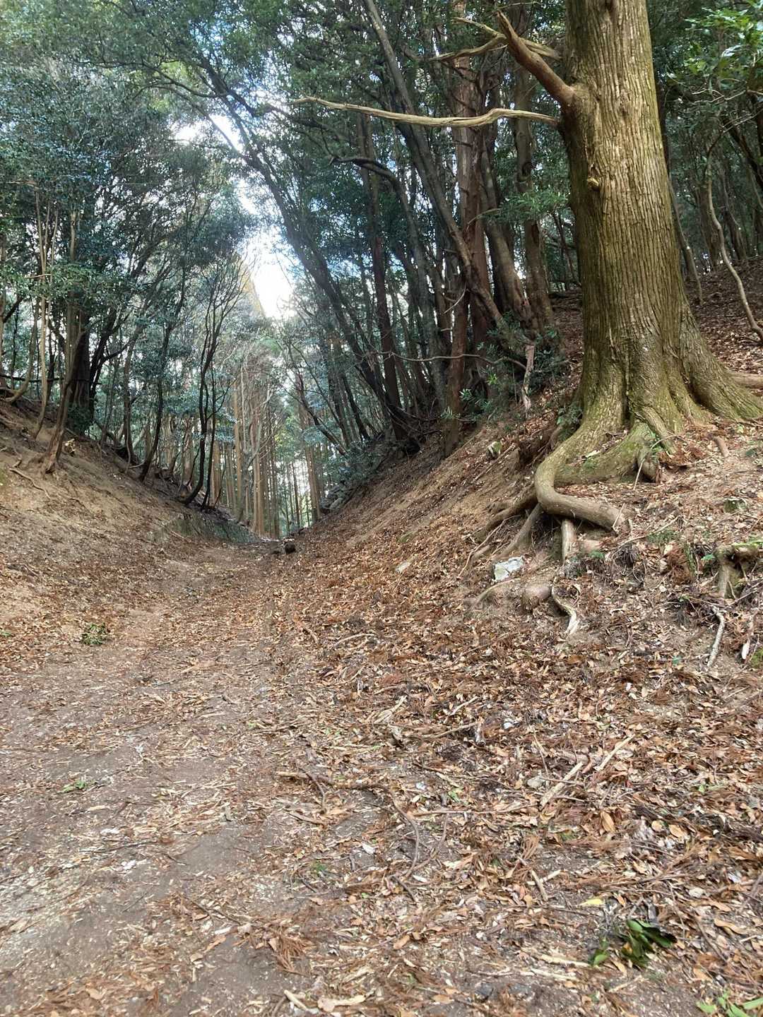 天の岩戸-逢坂峠-逢坂山 往復コースの写真