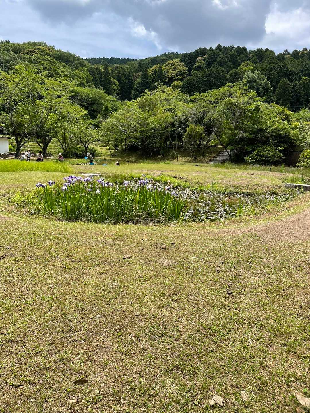 花が咲いてる