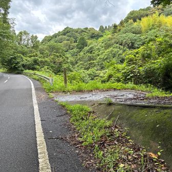 ここから右に曲がり折り返して登って行く