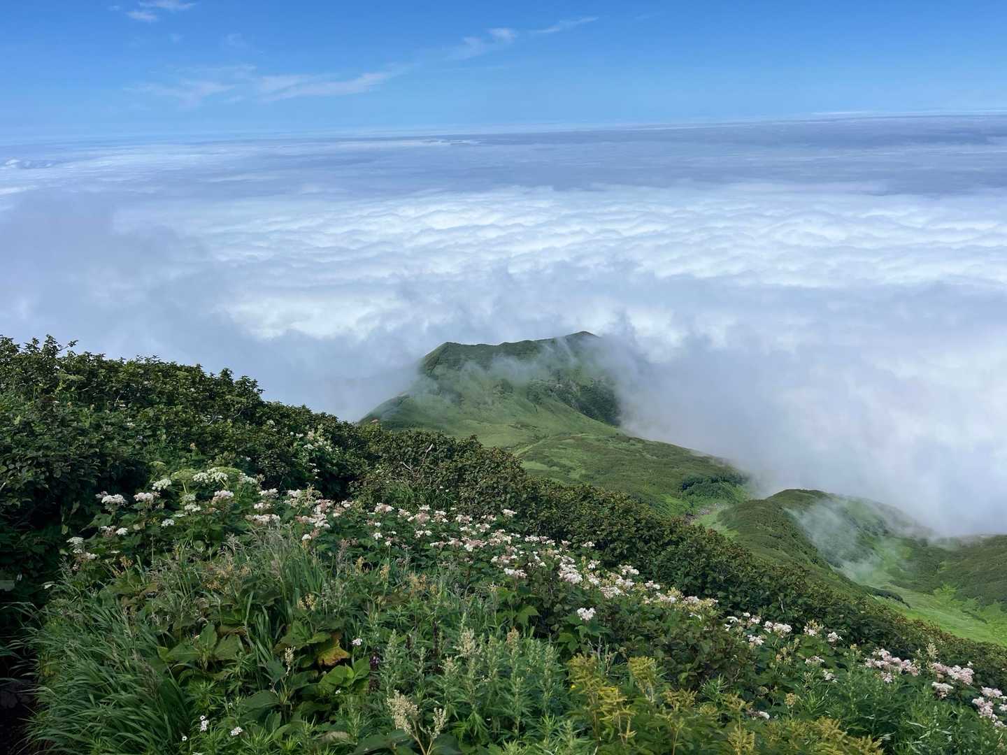 鴛泊ルート | 日本最北の独立峰「利尻富士」を眺める王道コースの写真