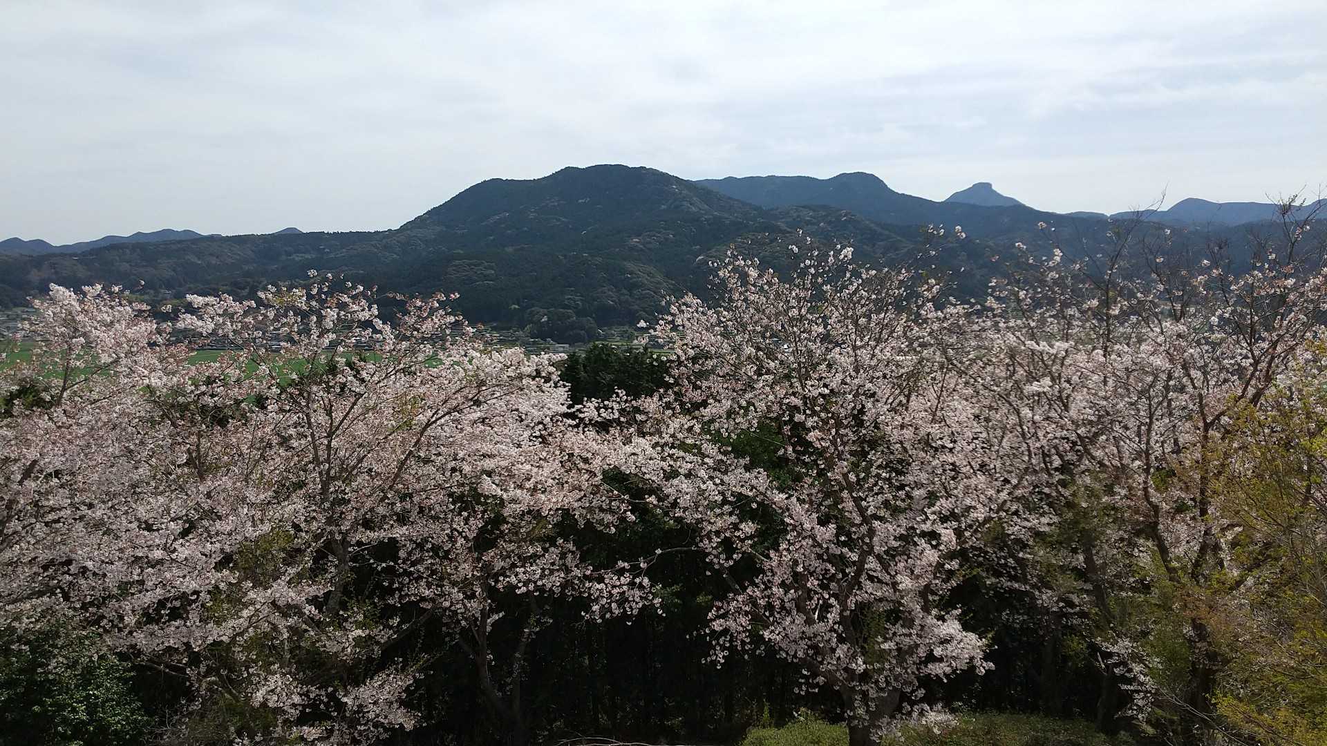 鴻ノ巣山（長崎県）の写真