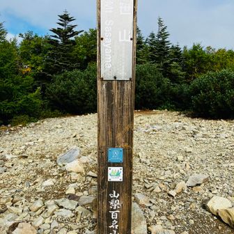 山百標柱は南峰。会いたかったよ