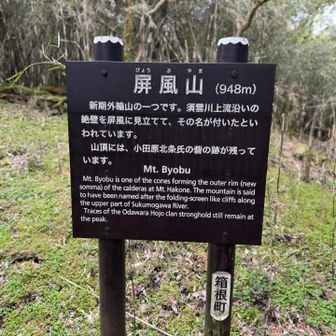 屏風山。40k以上走ったあとの急登はエグい。かなりの登山歴ありますが、ベスト3に入る急登かも。