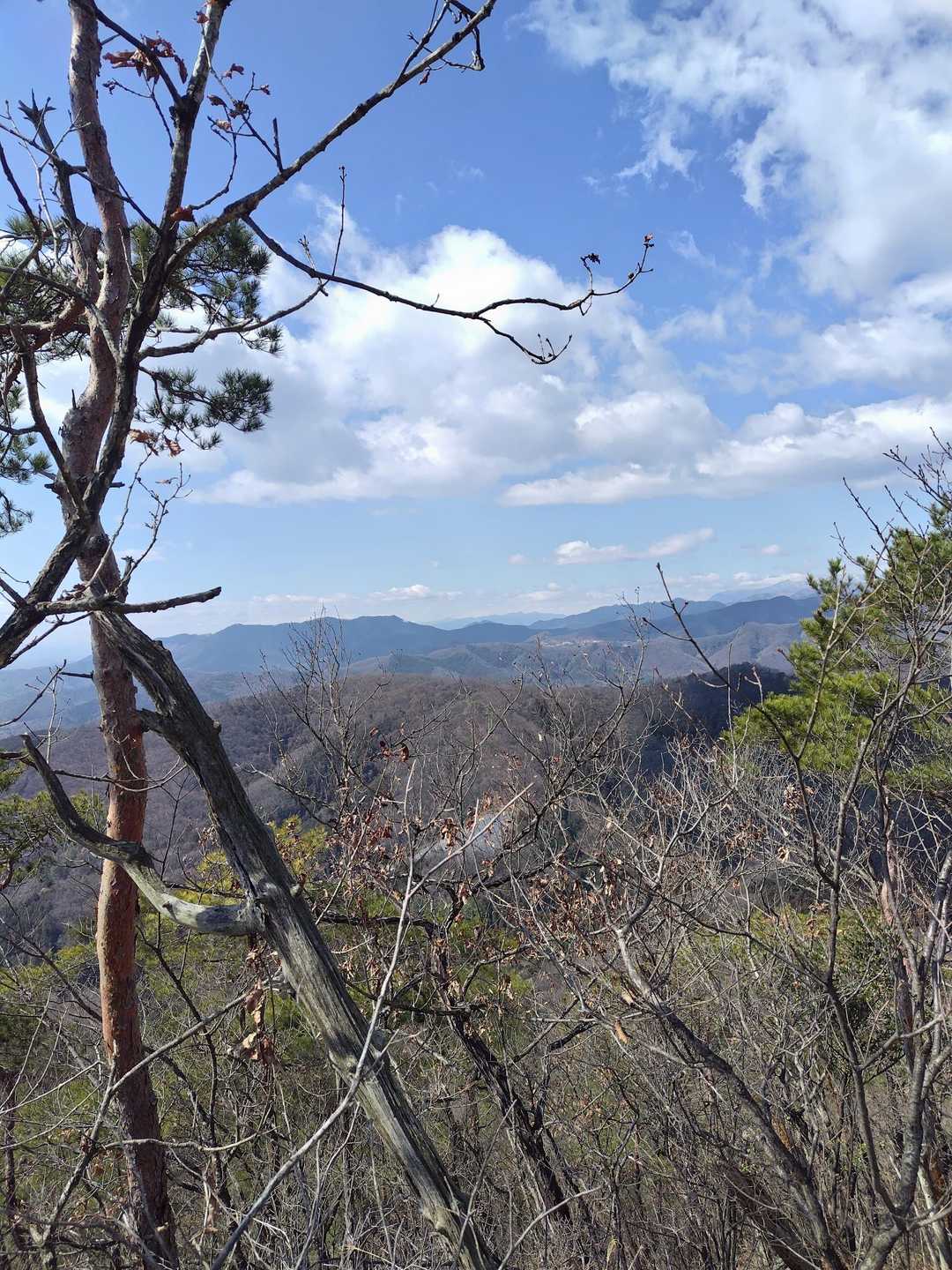 雷電山-鳩ノ峰-富士見山-藤平山-朝日山-山王山登山口-山 周回コースの写真