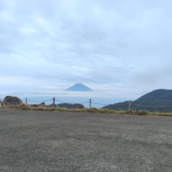 近いのでよく見えます