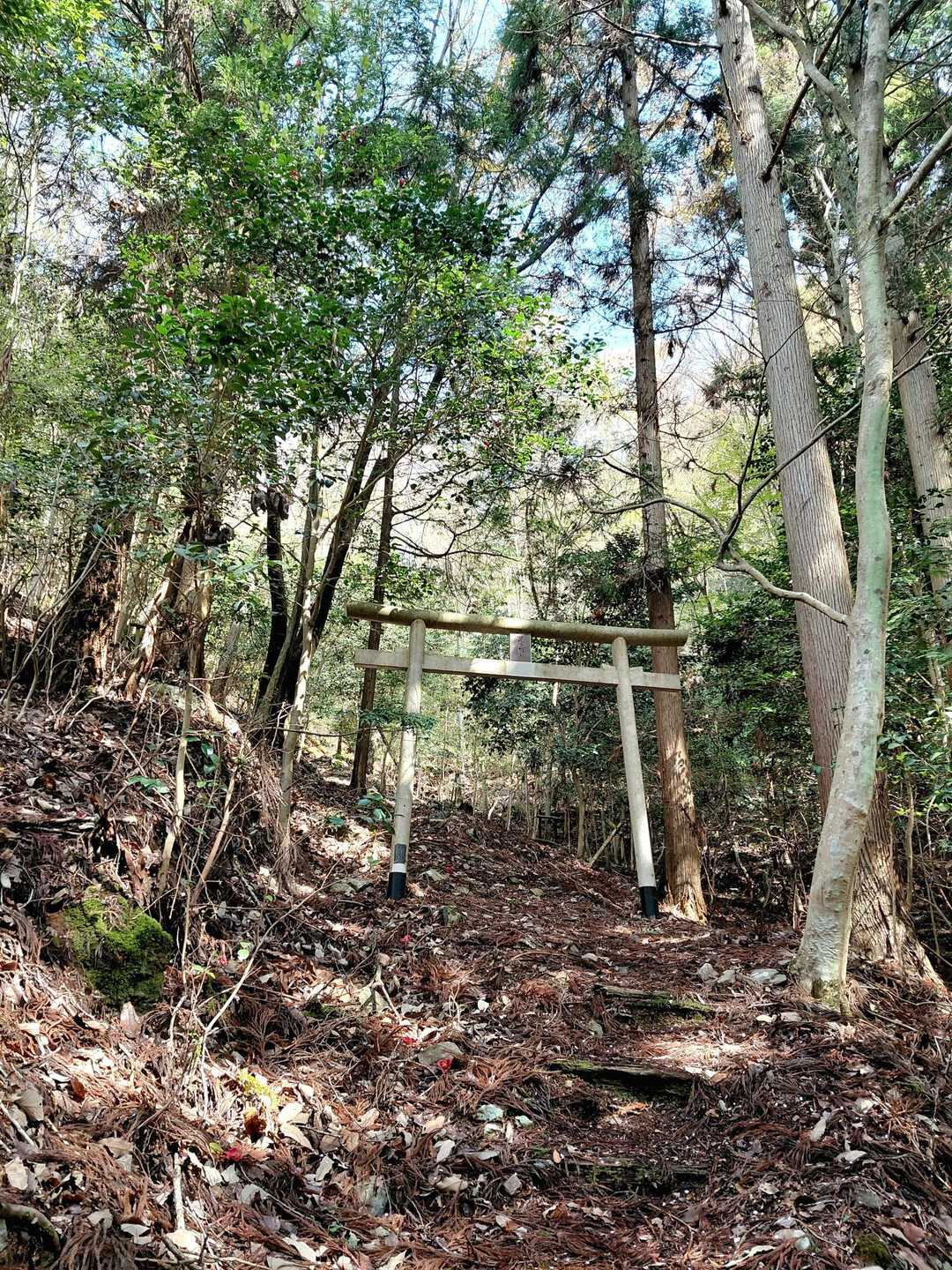 毘沙門天⛩️からスタート