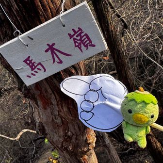 馬の被り物持ってきたら良かった