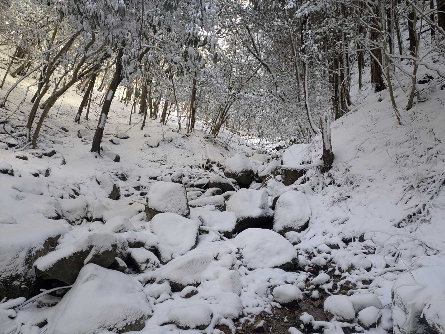 油日岳 往復コースの写真