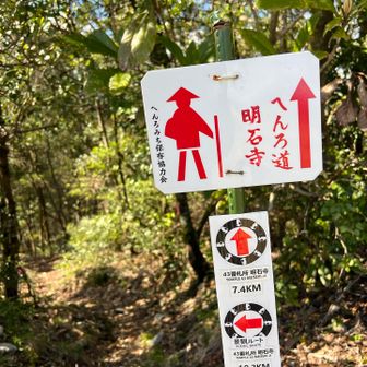 景観ルートはパス