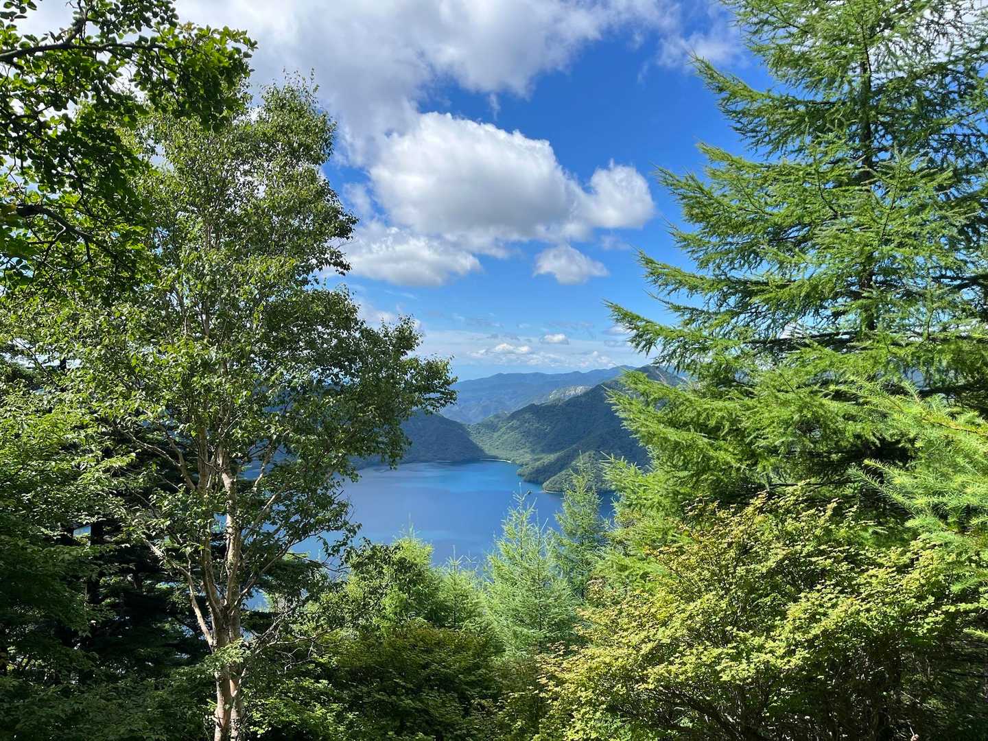 五合目からの景色🤩
要所要所で絶景がお目見えしてテンション上がります♪