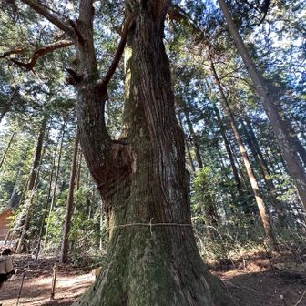 ここから
離れられない🌲
気持ちいい〜✨🌲