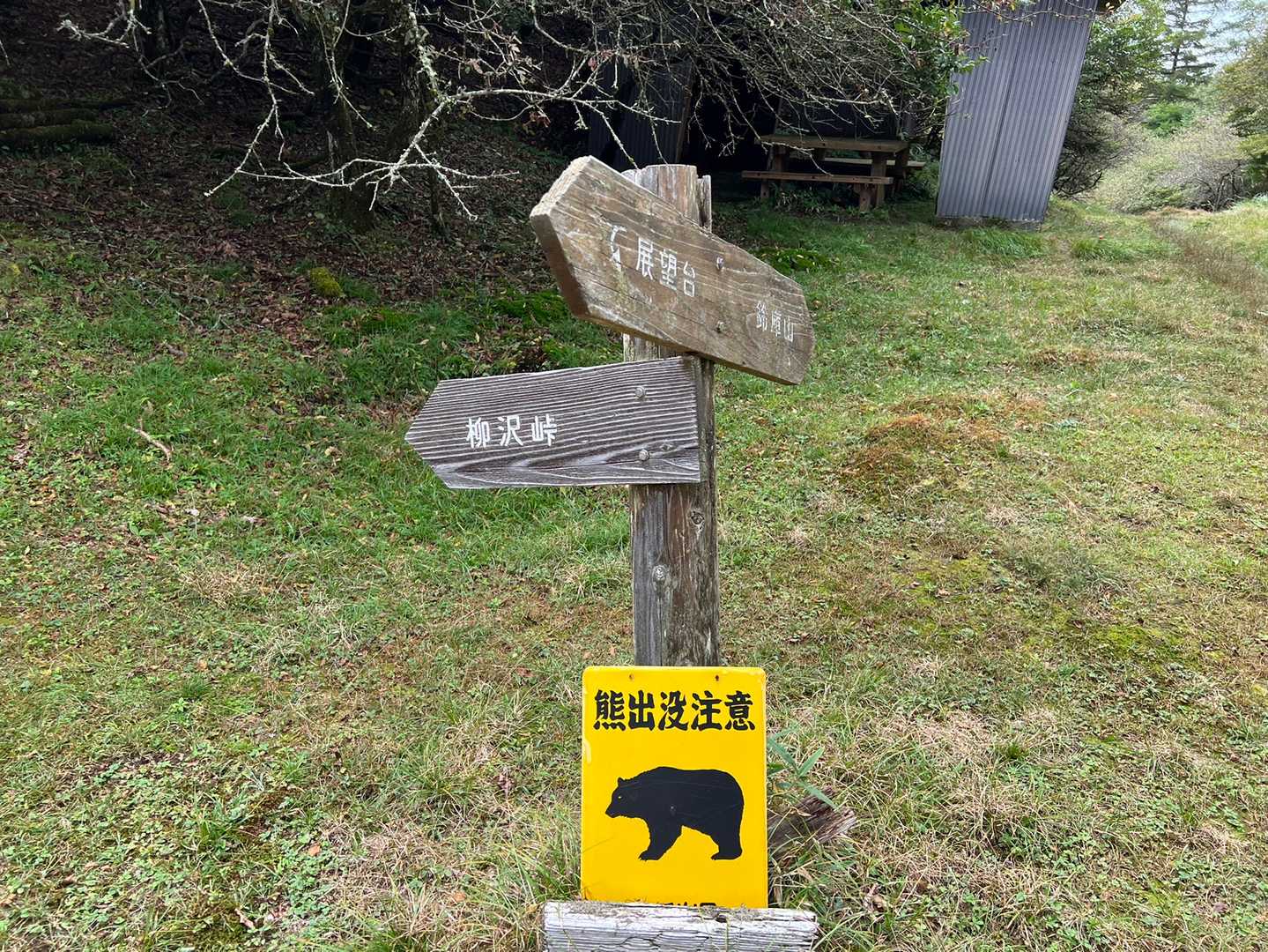 お熊🐻さんには会いたくないなー