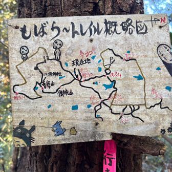 わかりやすく地図が🗺