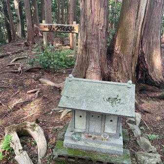 山頂広い、城跡だね。