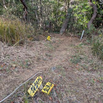 次の山は金満山🏅
ここから大体下り :D