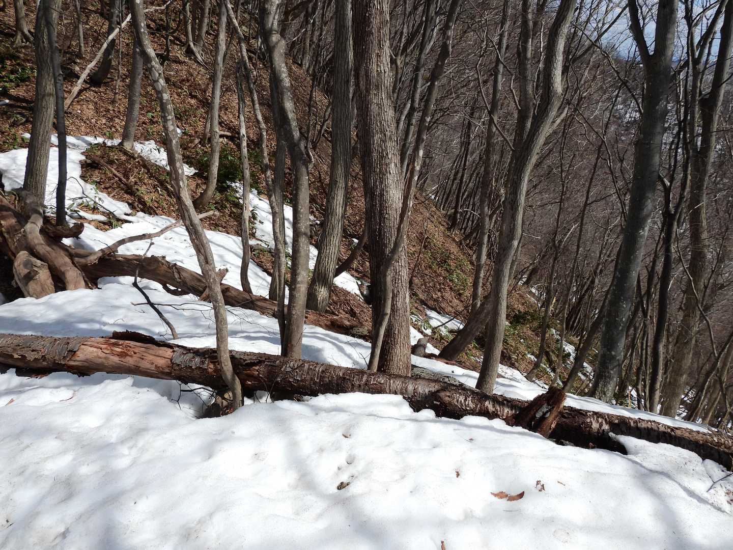 二割雪道