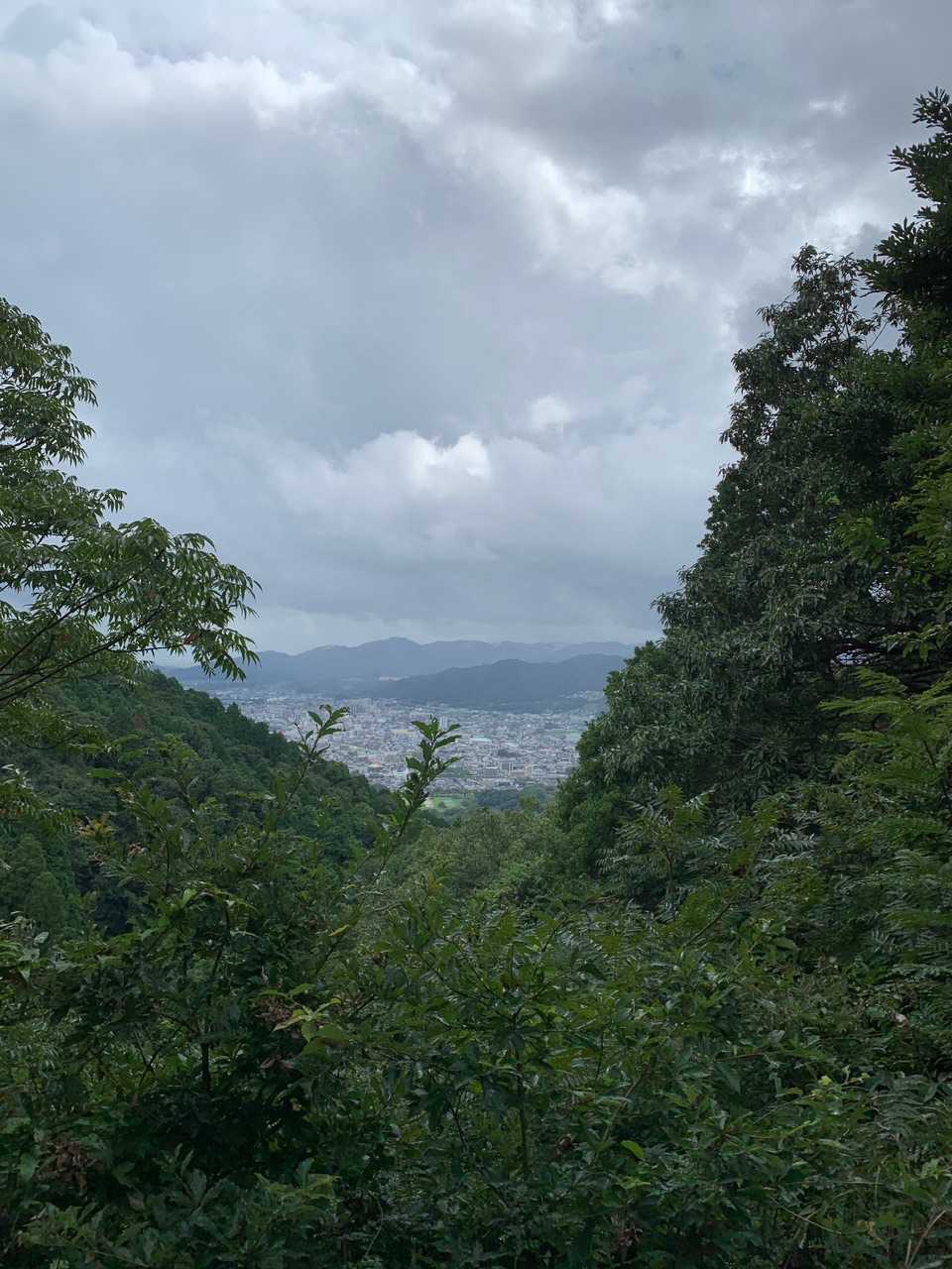 脊振方面はどんよりーぬ☁️