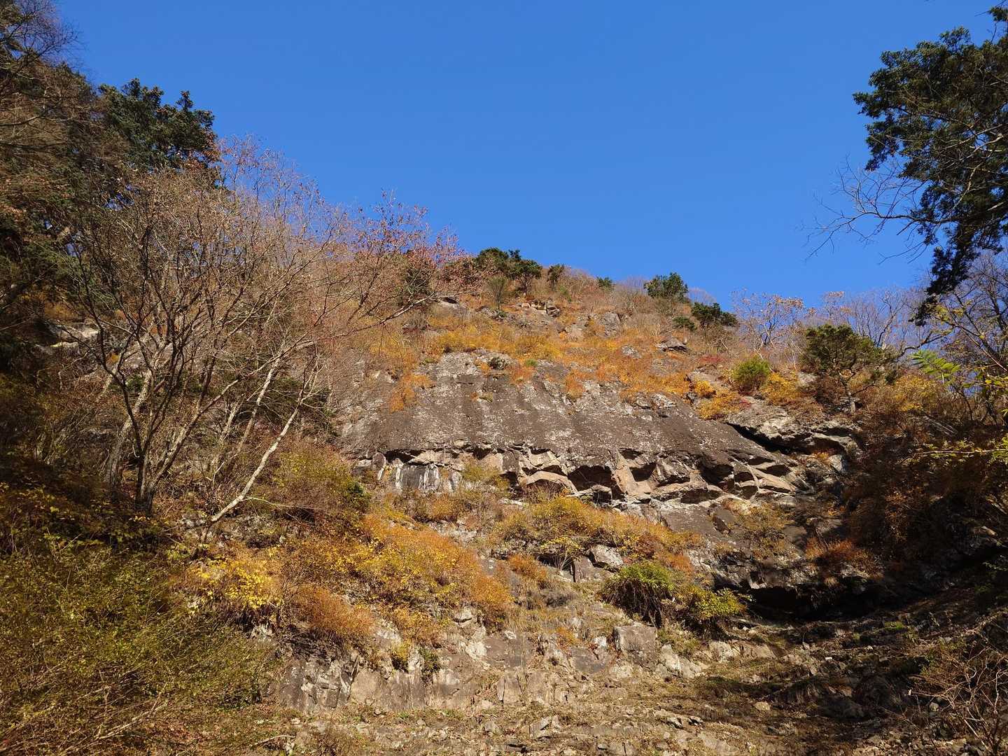 クライミングの練習場でもあるようです🧗