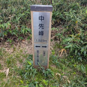 中先鋒に着きました。
標高1523m