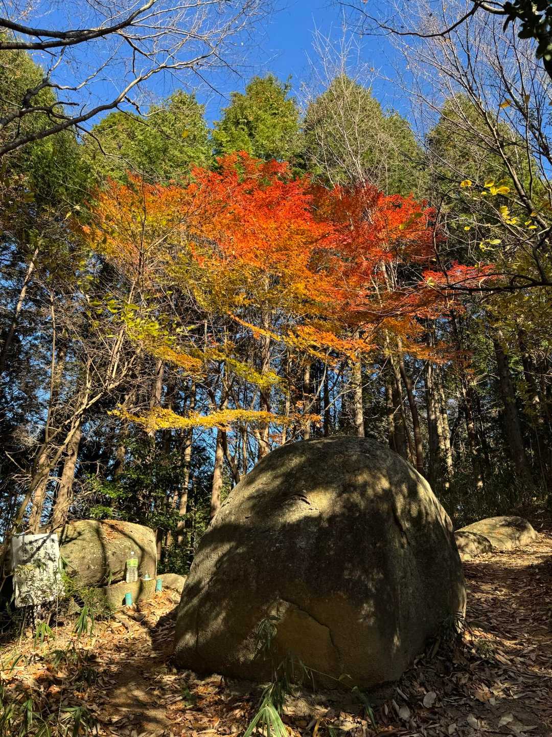 頂上手前の紅葉🍁
いとうつくし