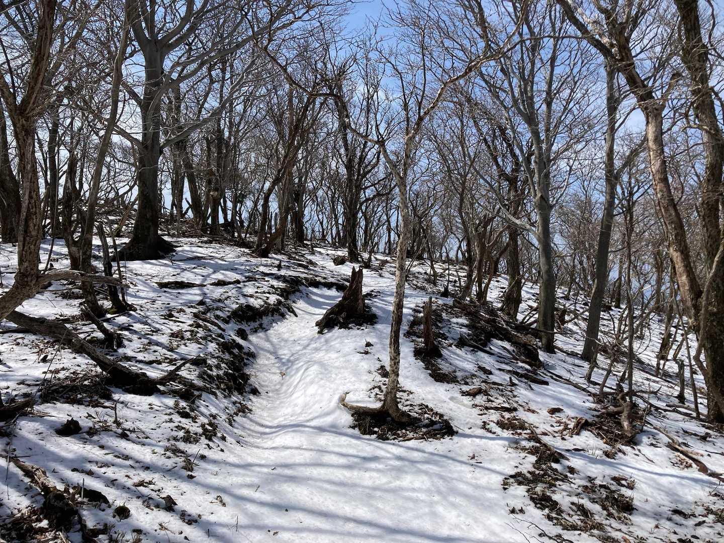 なんじゃこりゃ、さっきまでと別世界じゃないか。祖母山が上の方真っ白だったから嫌な予感はしてたが・・・