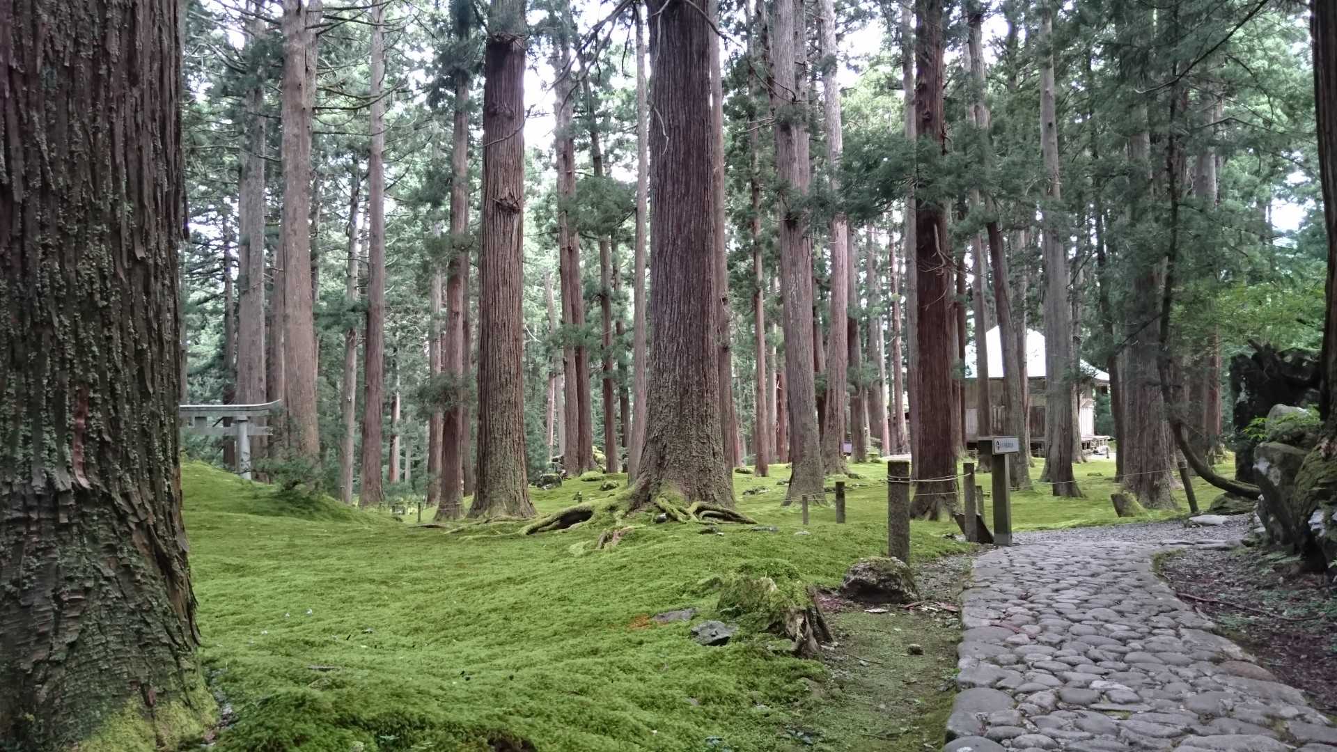 石畳