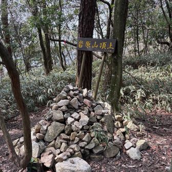 宝塚の最高峰登頂！
眺望、ベンチ無...
まぁ、登りながらそんな感じはしてました。
昼飯は持ち越し....