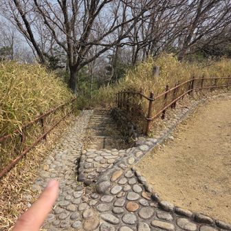 公園の方に下山しまーす↘️