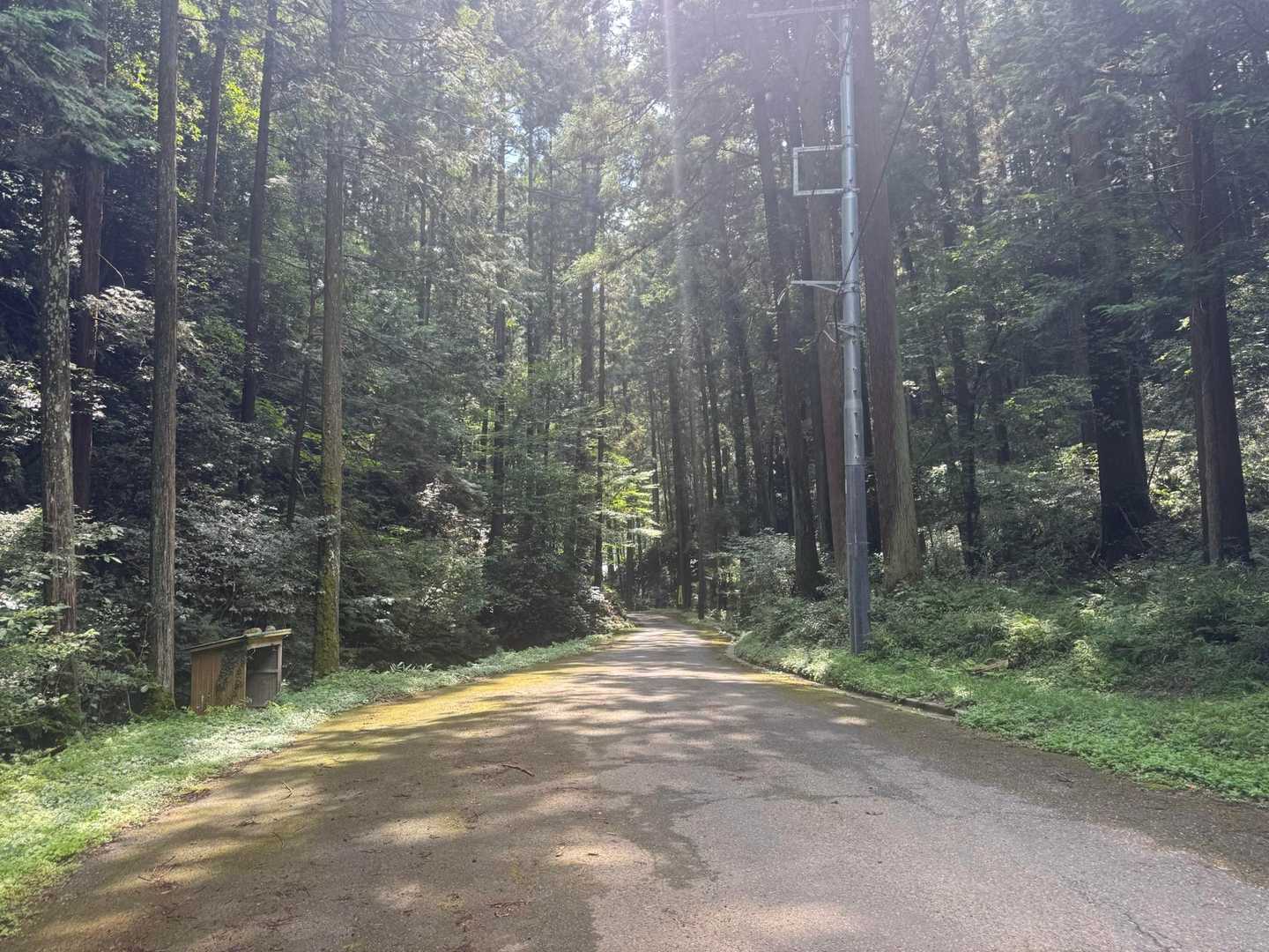 帰りは周回。
舗装路で帰ります。