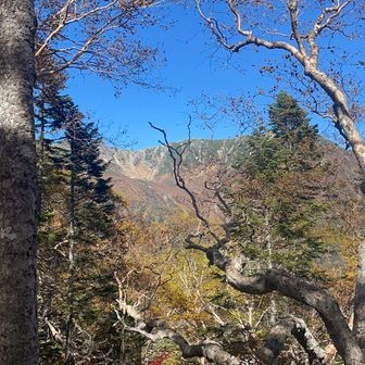 見えました！
千畳敷カール、八丁坂。
何千人も人がいるのかしら
