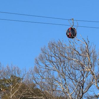 ロープウェイは営業時間前でも動いている。
試運転かなぁ。