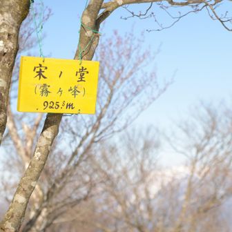 まさかのソノド