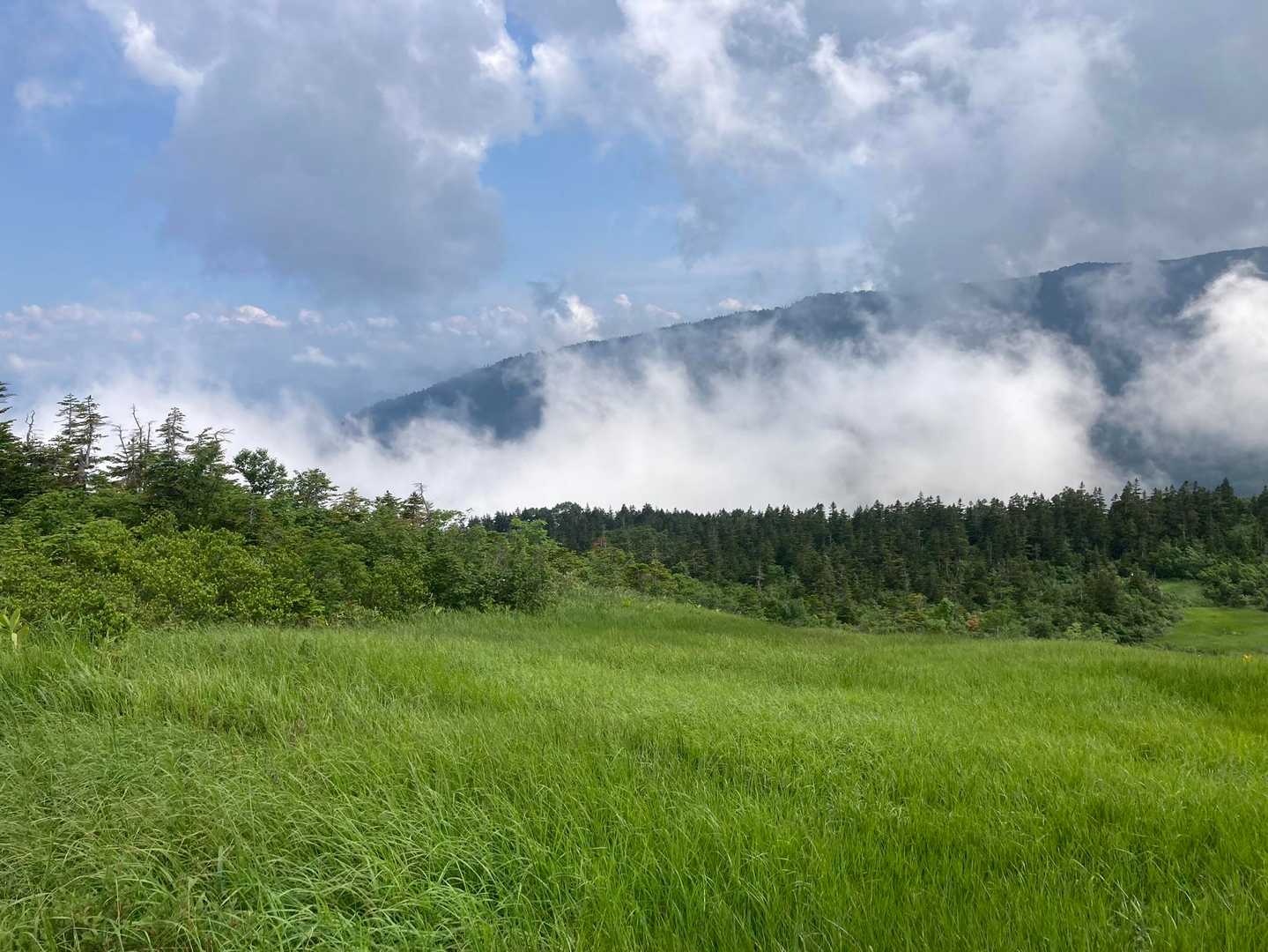 風吹岳（風吹登山口）の写真