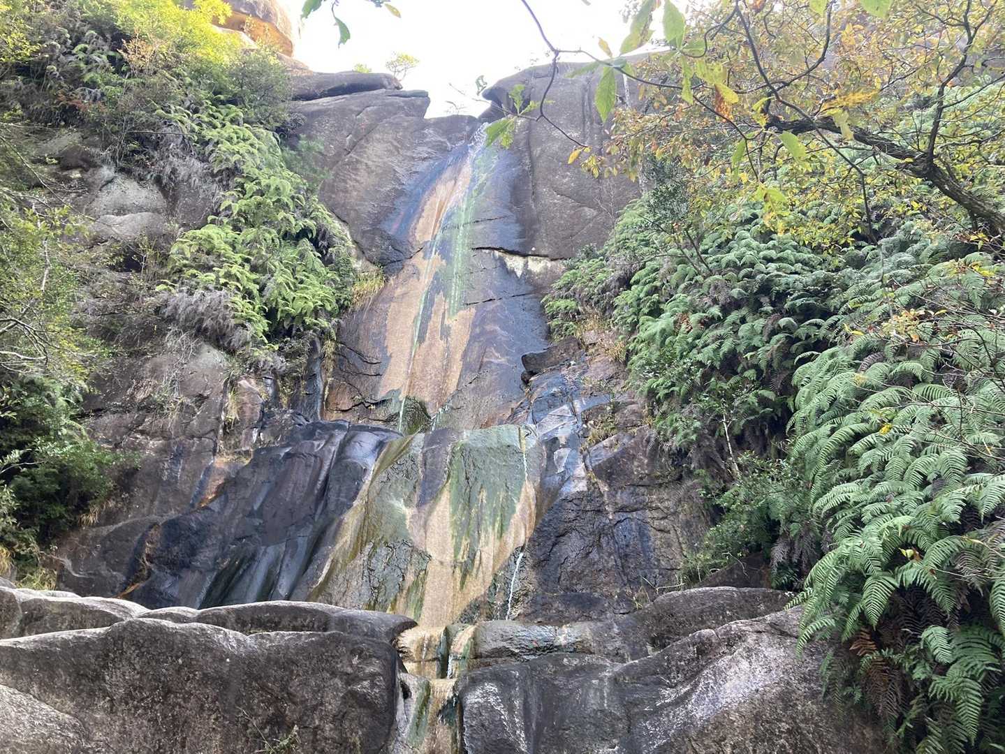 天狗岩 往復コースの写真