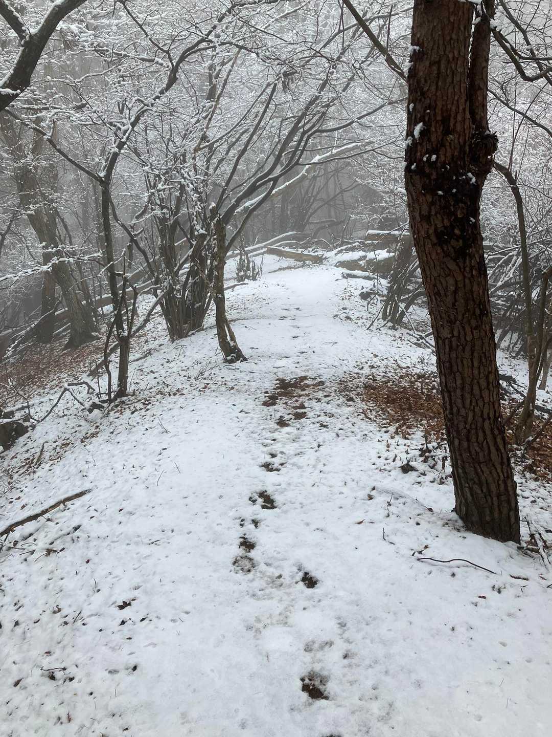九鬼山 周回コースの写真