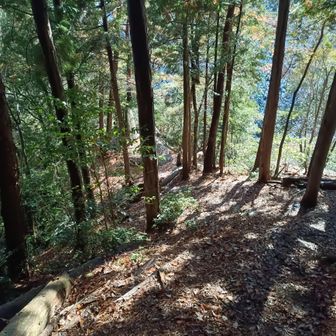 天狗様の先は雪がなくなり、しかし激下り
足元に注意して歩きます。