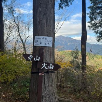 熊か。。。
出たとは書いてないなw
行こ行こ