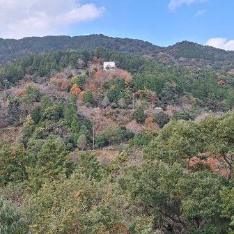 先ほど登った「中央展望台」が見える。