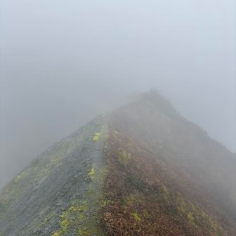 縦走路も中々のガス☁️