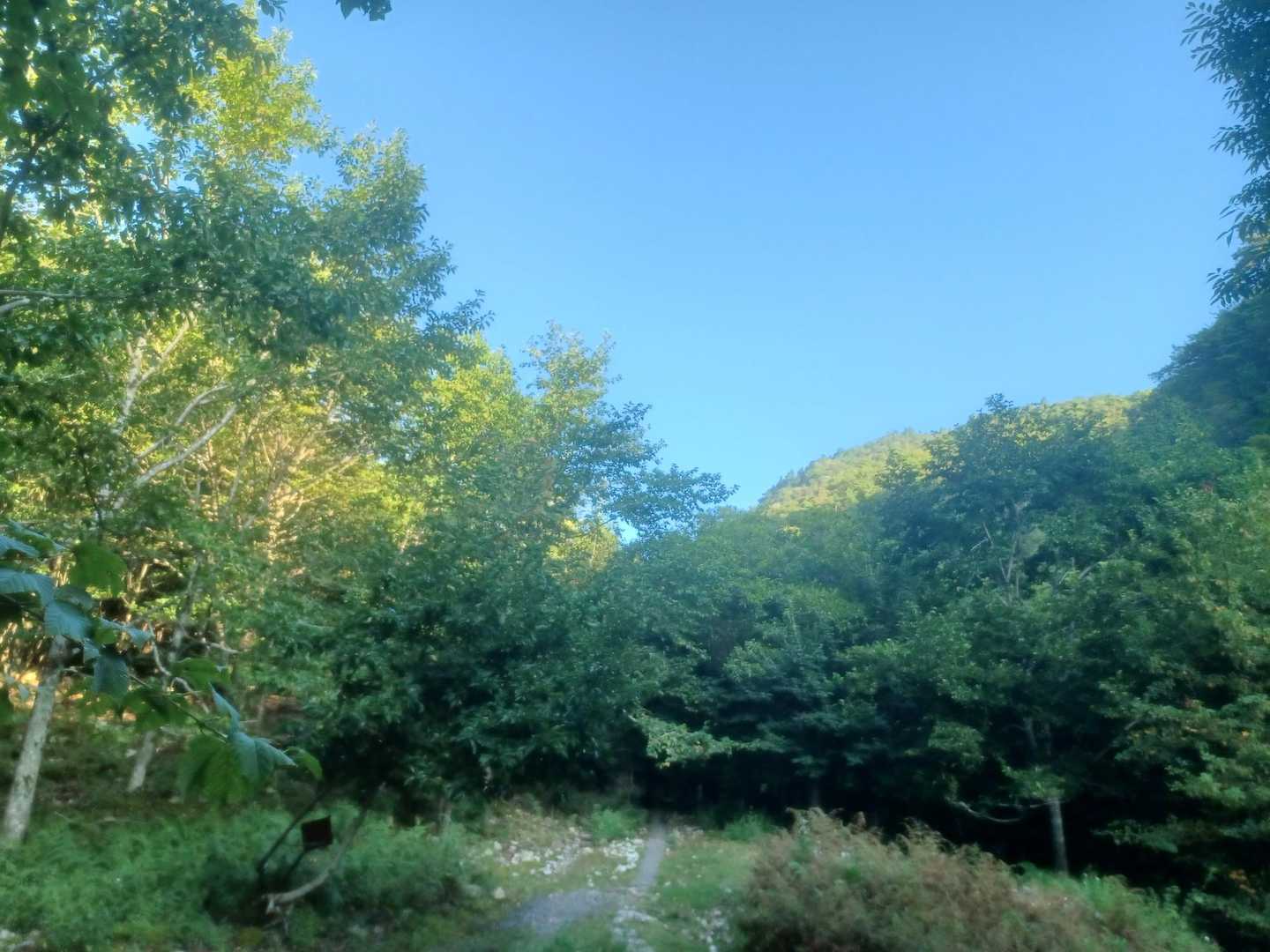 いい天気☀️